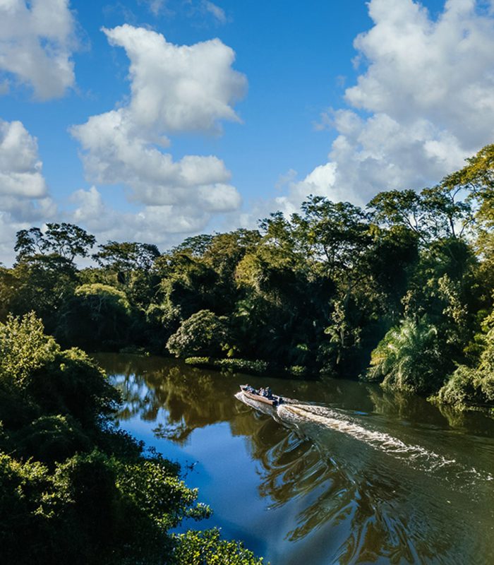 AMAZON PRESERVATION - Image 1