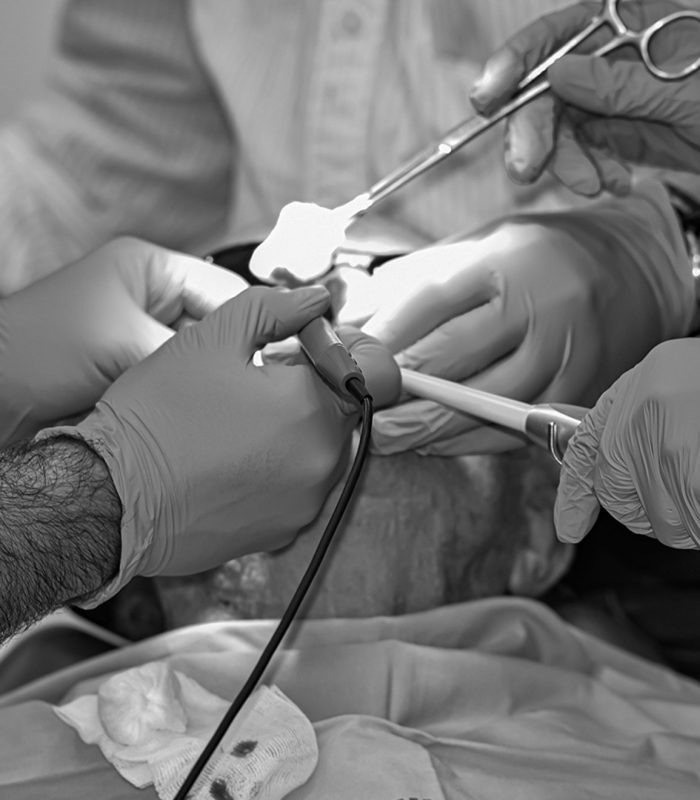 DENTAL SERVICES - Image 4