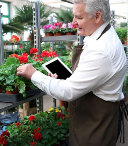 ELDERY JOBS