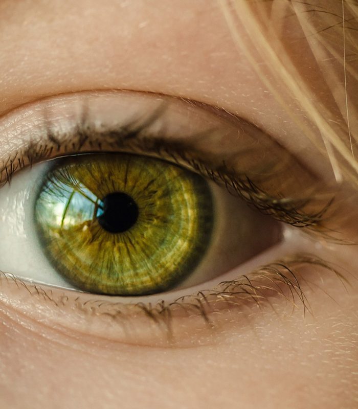 EYE EXAMS - Image 1