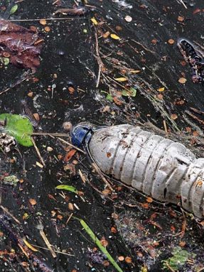 bottle-2349126_1920