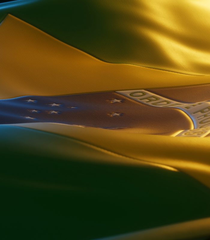 CAUSES BRAZIL - Image 1