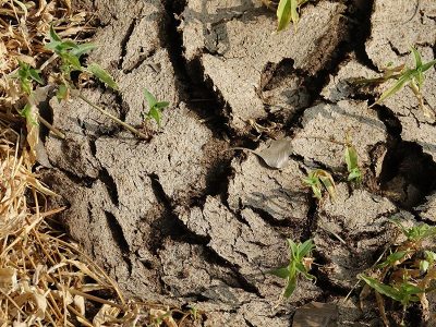 dry-cracked-soil