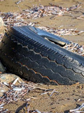 environmental-pollution-4834785_1920