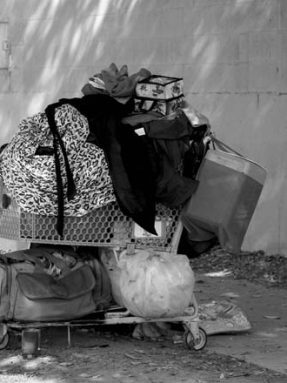 homeless (36)