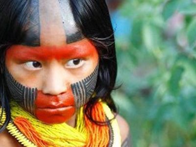 native brazilian (2)