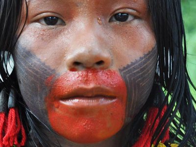 native brazilian (3)