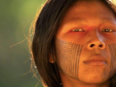 native brazilian (4)